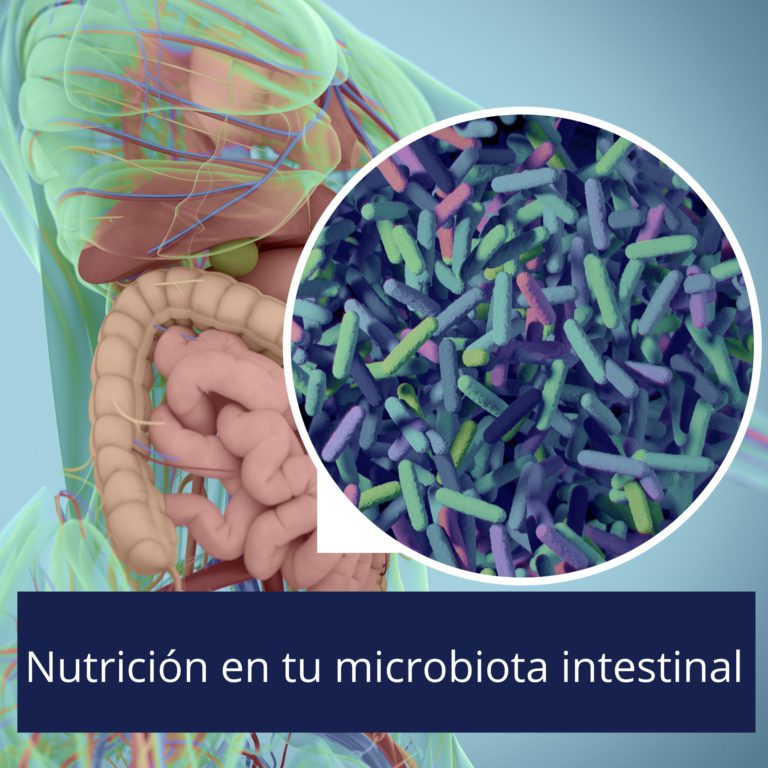 Nutrición y los efectos en la Microbiota Intestinal… conoce más sobre tí.